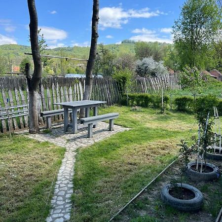 Green Garden Петрошани Экстерьер фото