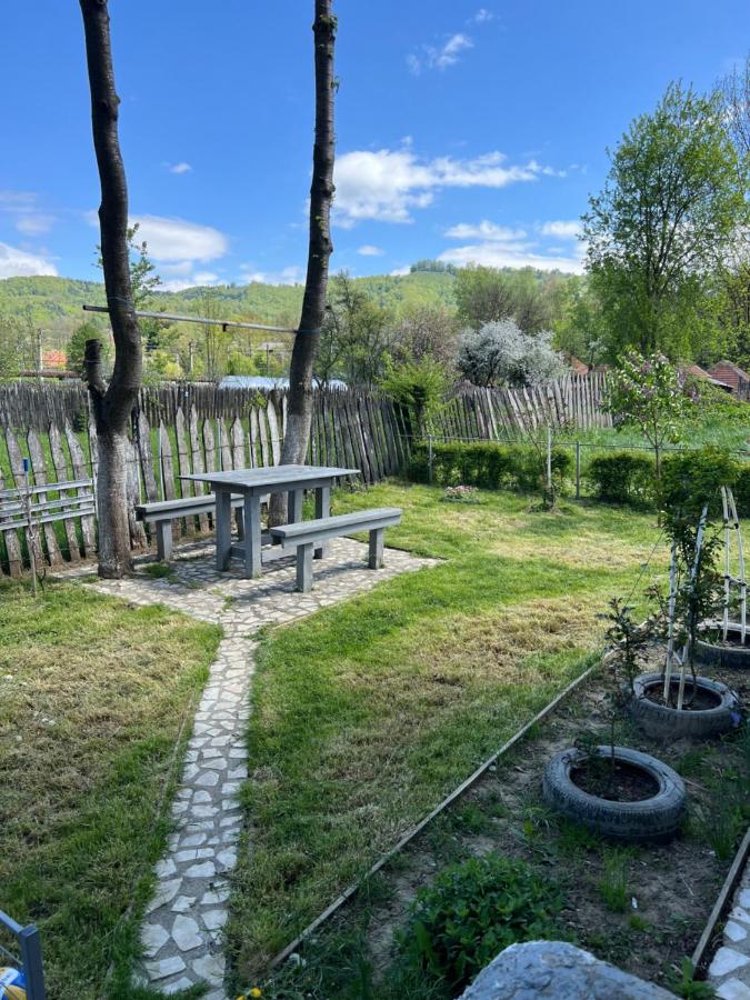 Green Garden Петрошани Экстерьер фото
